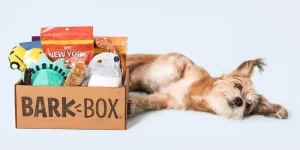 Pet Affiliate Programs 4