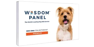 Pet Affiliate Programs 6