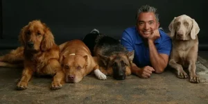 Pet Affiliate Programs 7