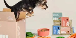 Pet Affiliate Programs 9
