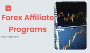 Forex Affiliate Programs