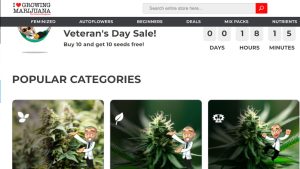 marijuana affiliate programs 5