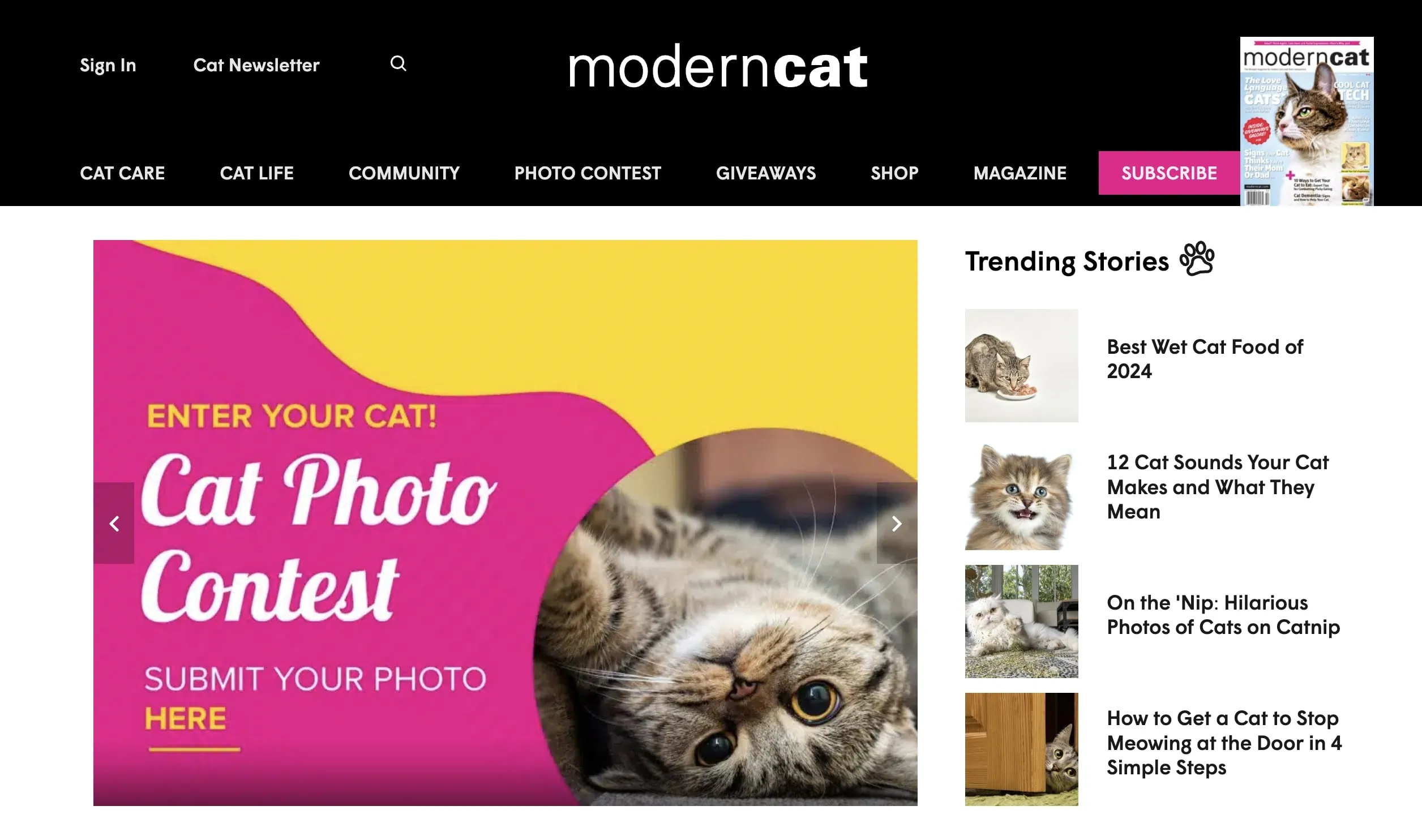 Cat Affiliate Programs
