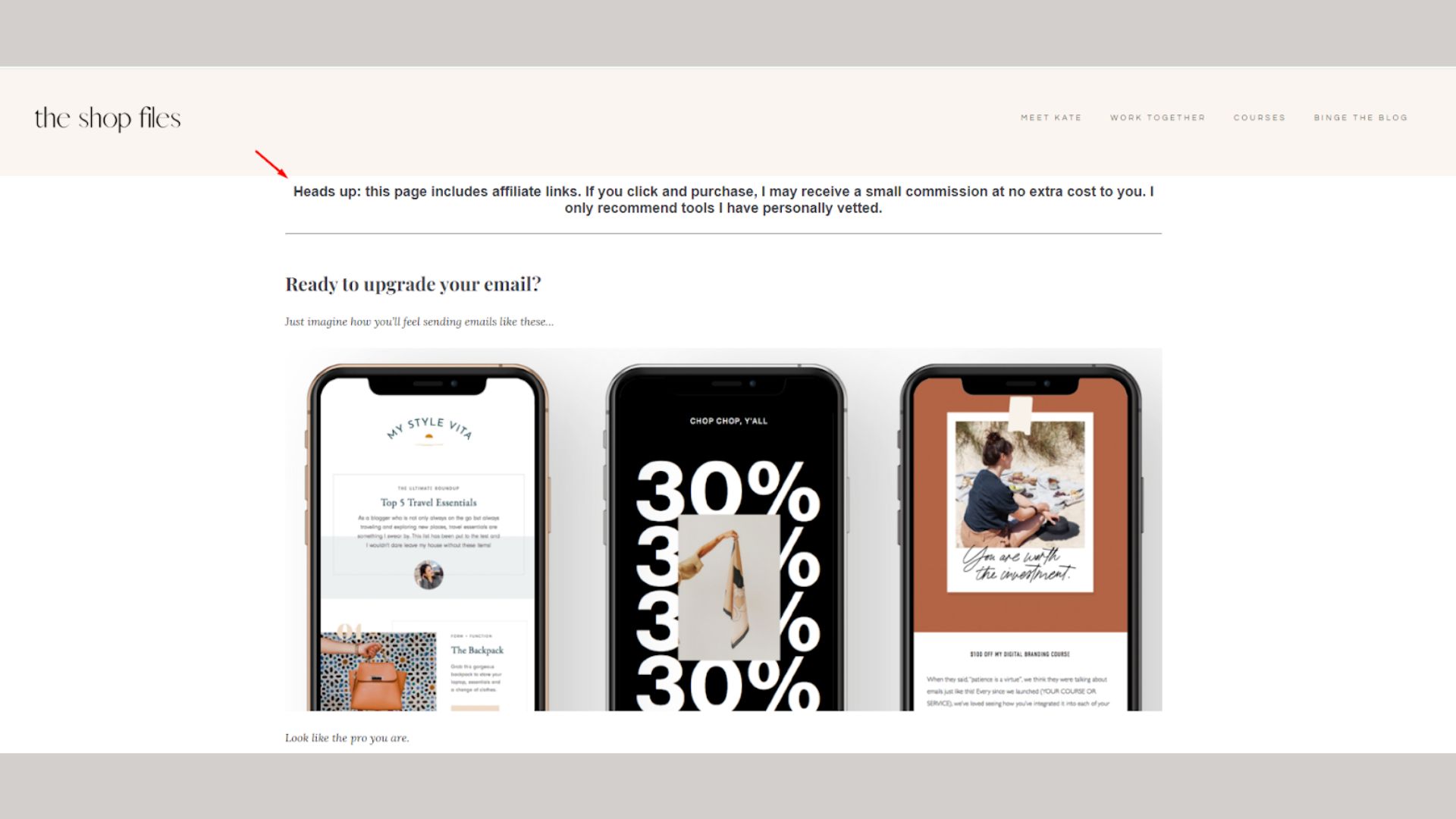 affiliate disclosure examples 19